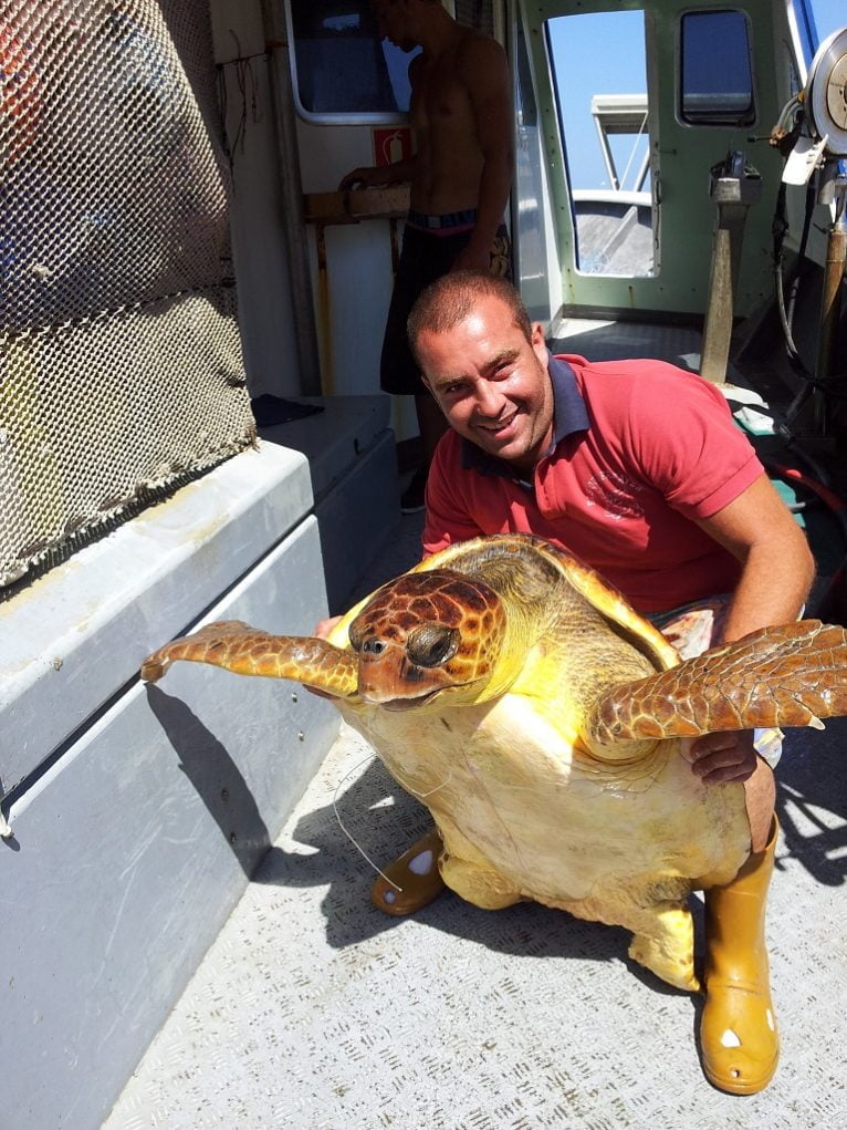 Rescatan en Dénia una tortuga hembra de 54 kilos