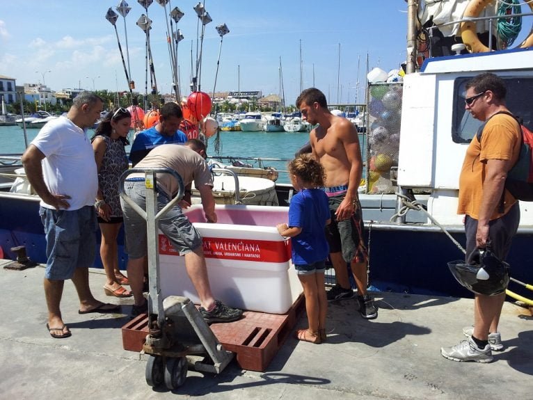 Técnicos del Arca del Mar recogen en Dénia el ejemplar de tortuga boba pescado accidentalmente