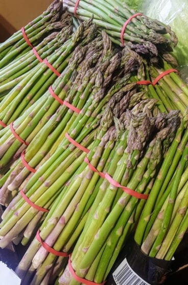 Esparragos en El Mosset