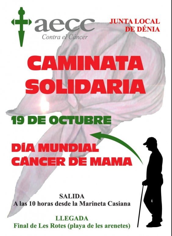20131011_Cartel_caminata_solidaria_cancer_mama