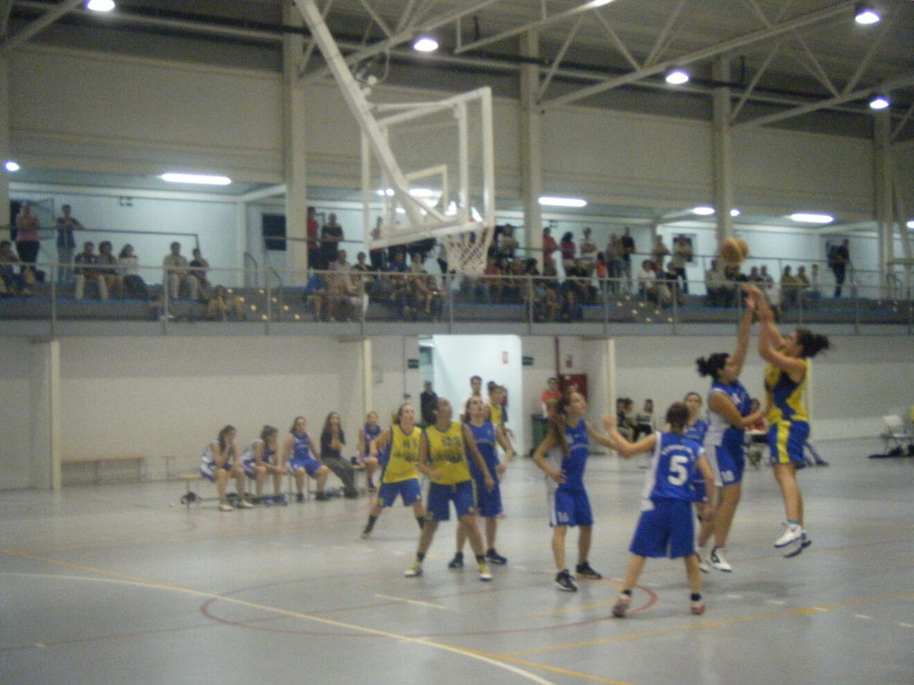 El Dénia Basquet Femenino por el buen camino