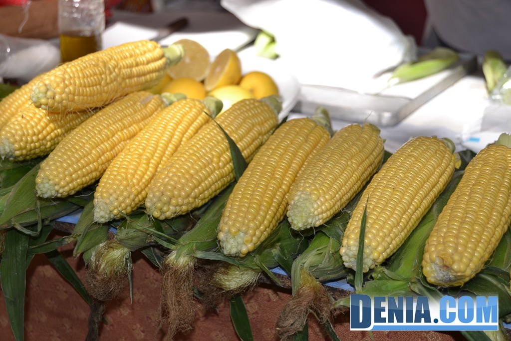 Mazorcas de maíz en Ecodenia