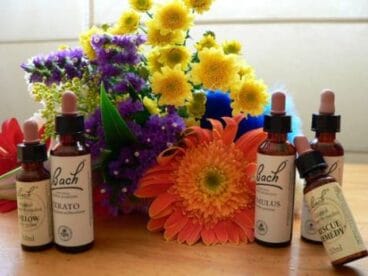 Flores de Bach en Dénia Orenda