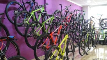 Variedad bicicletas