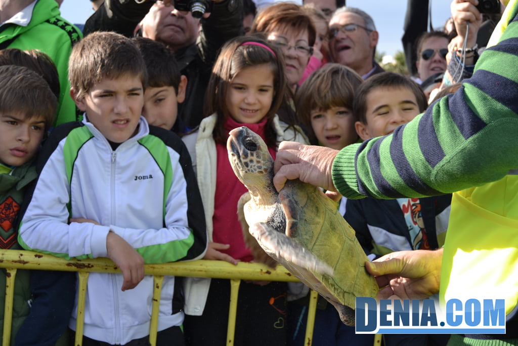 Suelta de tortugas marinas en Dénia