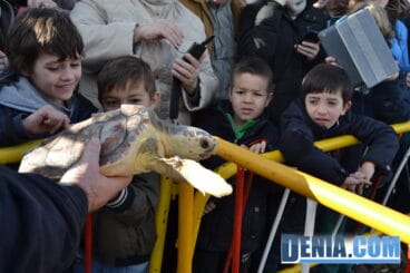Enseñando las tortugas a los niños