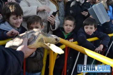 Enseñando las tortugas a los niños