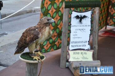 Inauguración del Mercado Medieval de Dénia – Cetrería