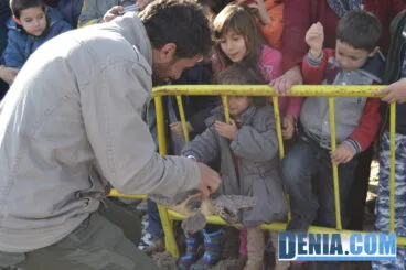 Enseñando las tortugas a los niños
