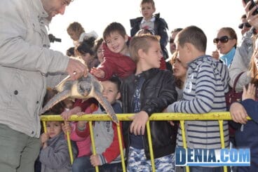 Enseñando las tortugas a los niños