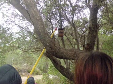 Talleres medioambientales en Dénia