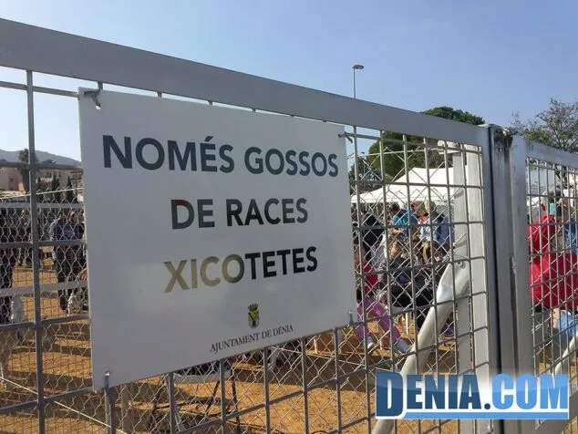 Dueños y mascotas se dan cita en la "Gran Fiesta" del parque canino 4 Uno de los espacio del Pipican