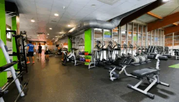 Múltiples máquinas para ejercitar cada músculo