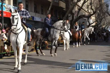 Caballos en la bendición de animales