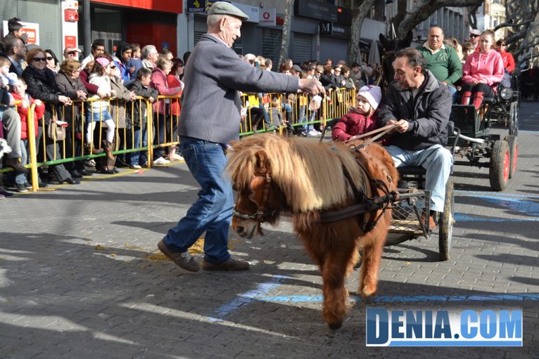 Carros de caballos en la bendición de animales de Dénia