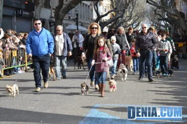 Bendición de animales en Dénia