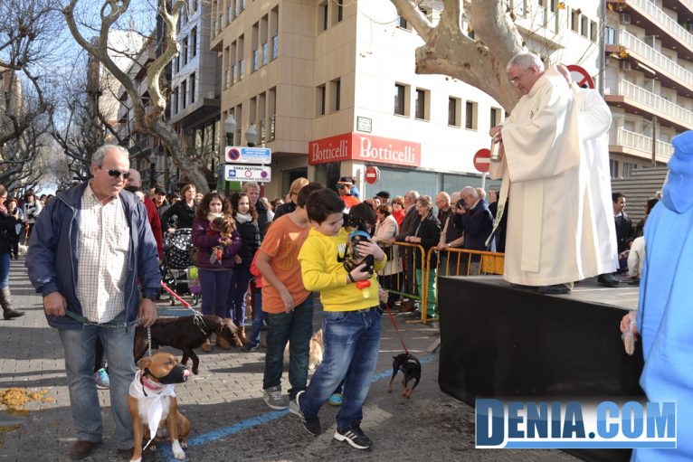 El párroco de San Antonio bendijo animales en Dénia