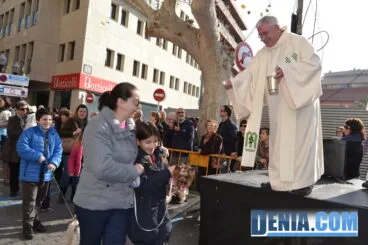 Muchos perros en la bendición de animales de Dénia