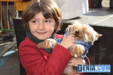 Muchos perros en la bendición de animales de Dénia