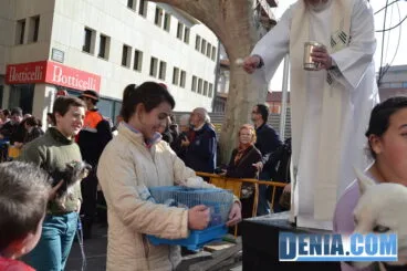 Un hamster en la bendición de animales de Dénia