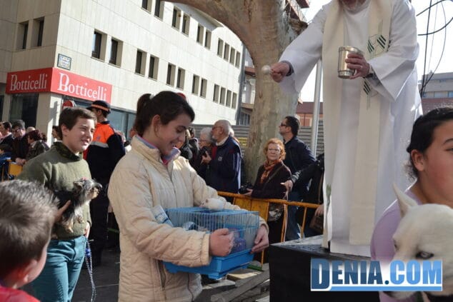 28 Un hamster en la bendición de animales de Dénia