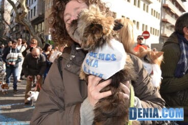 Muchos perros en la bendición de animales de Dénia