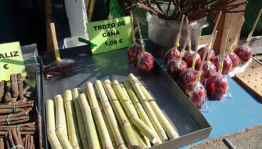 Caña de azúcar y manzanas de caramelo