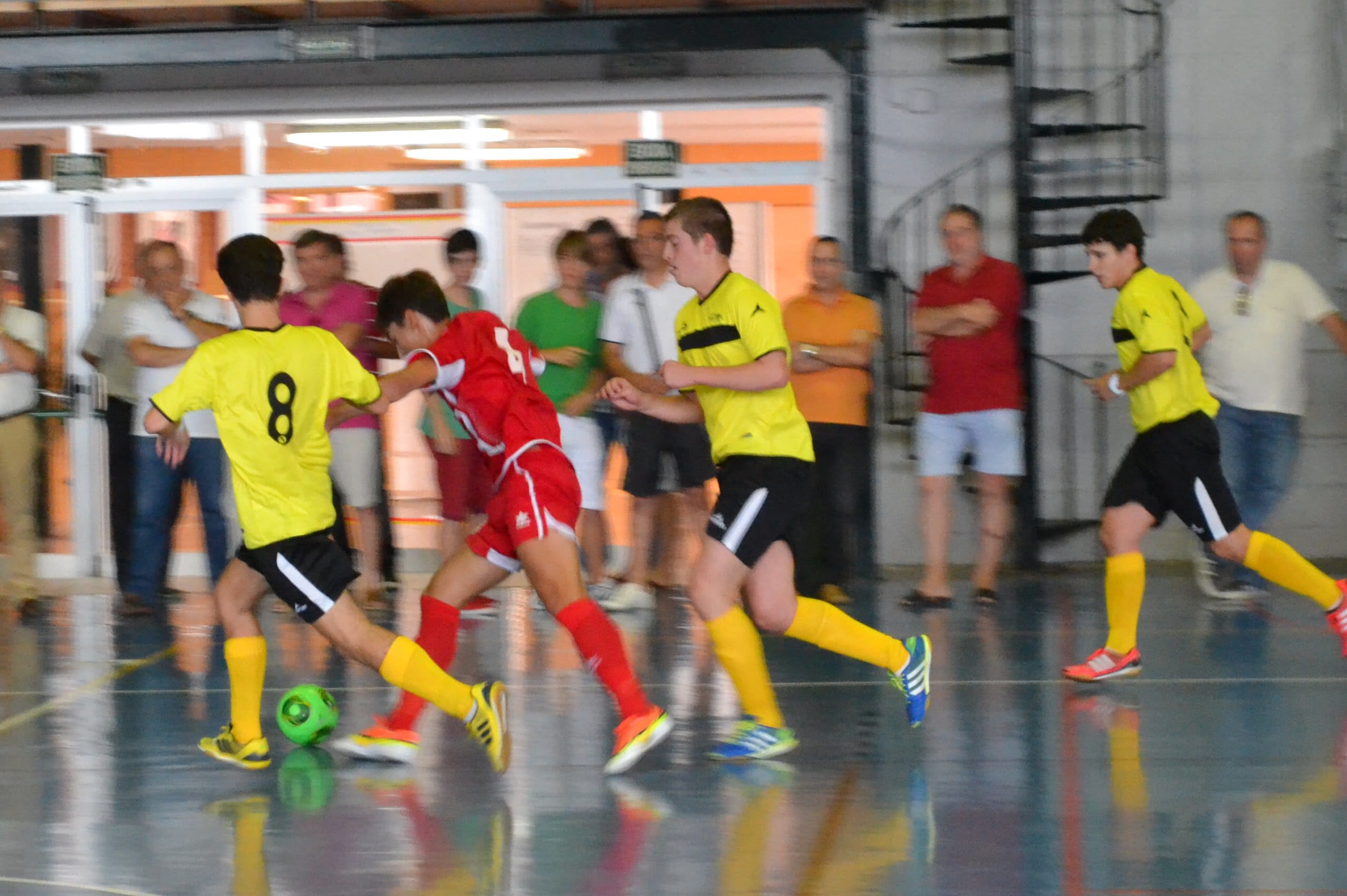 La Salle Paterna desarboló a los dianenses