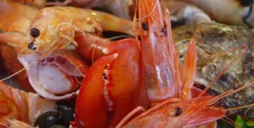 Mes del marisco en Voramar