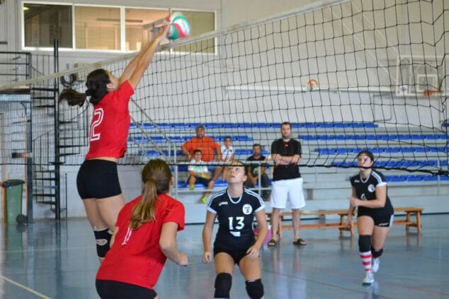 Voley Dénia