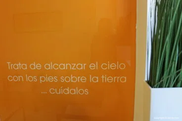 Cuidado de tus pies en PodoDenia