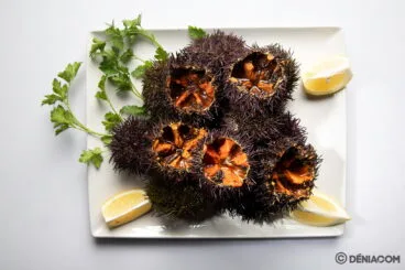 Erizos Dénia – Restaurante Voramar