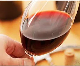 Cata de vinos