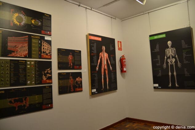 Material gráfico expuesto en Sent i Respira Valencià