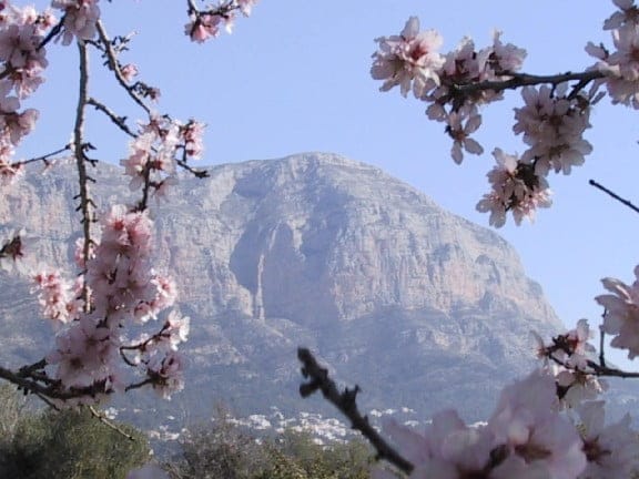 Montgó