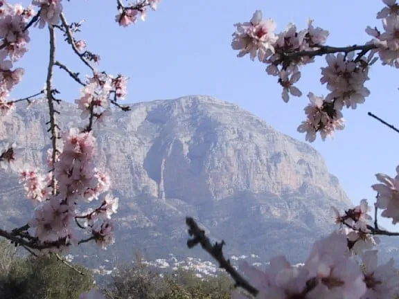 Montgó