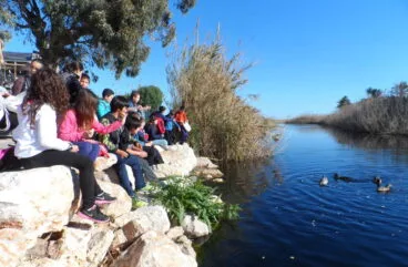 Plantación en el Rio Alberca