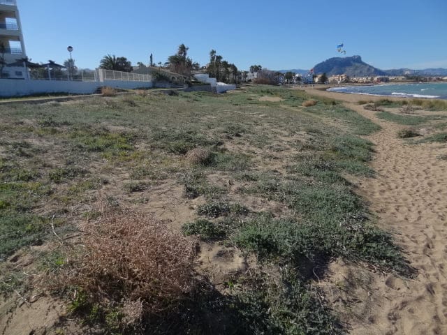 Regeneración de dunas en Dénia