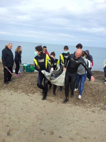Rescate de un delfín listado en la costa de Dénia