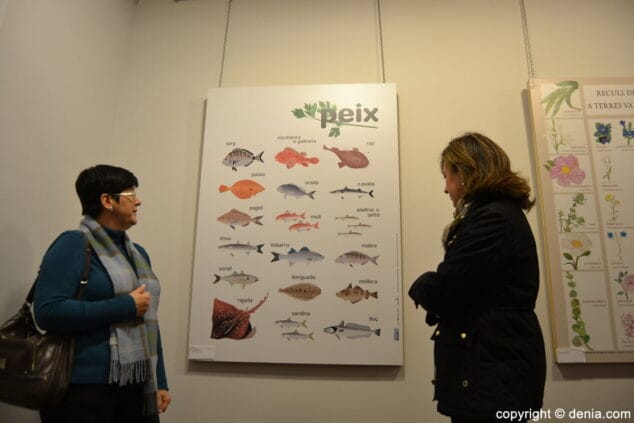 Visita a la exposición Sent i Respira Valencià