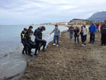 Voluntarios con el cuerpo del delfín