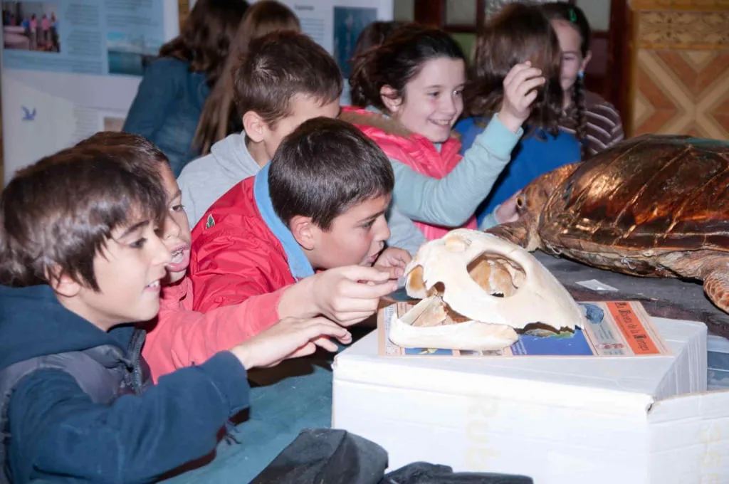 Exposición sobre biodiversidad marina en Dénia