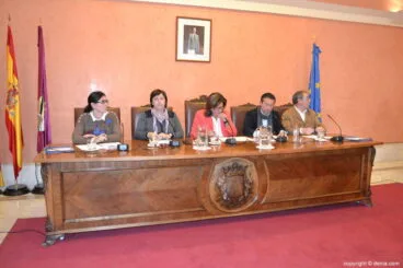Pleno de febrero