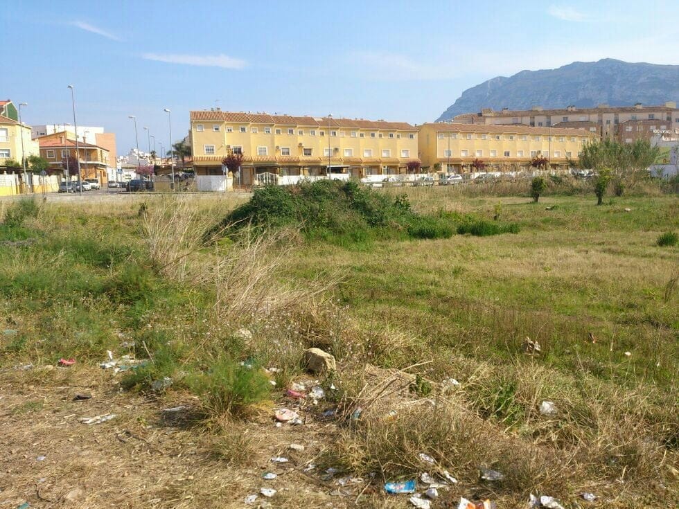 Suciedad en los terrenos del Maria Ibars