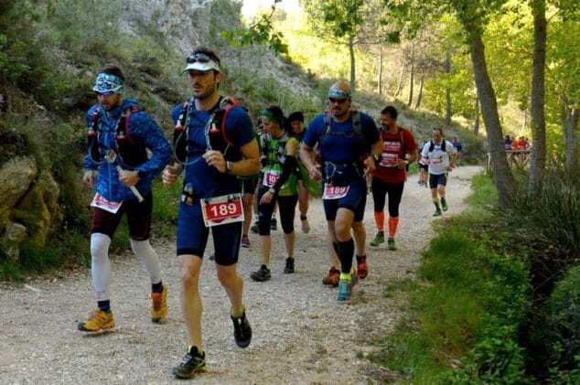 Los Gin Running Tonic atravesando una pista forestal