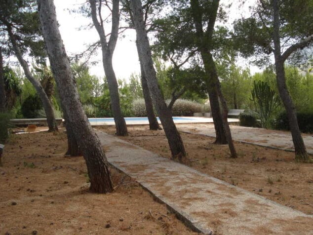 El Aula de Natura abrirá sus puertas durante Semana Santa con un área de picnic 1 Pinada de 5000 m2 en Aula Natural Dénia