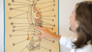 Consigue tu mejor versión con los servicios de fisioterapia de este centro