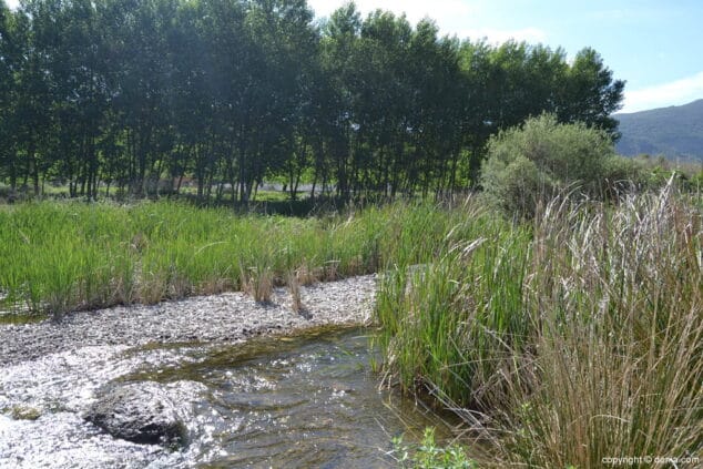 Alrededores del Serpis Choperas en el Serpis