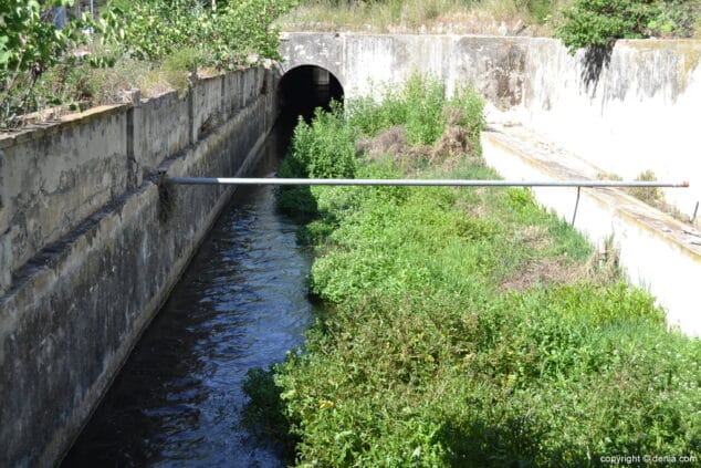 Alrededores del serpis junto a la fábrica de papel