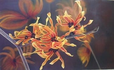 Exposición de Julia Rubio